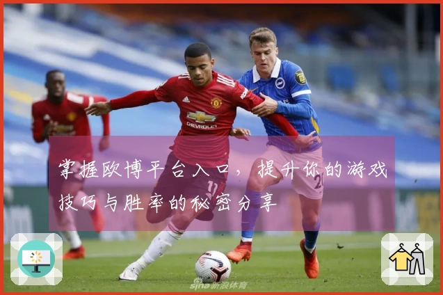 掌握欧博平台入口,提升你的游戏技巧与胜率的秘密分享